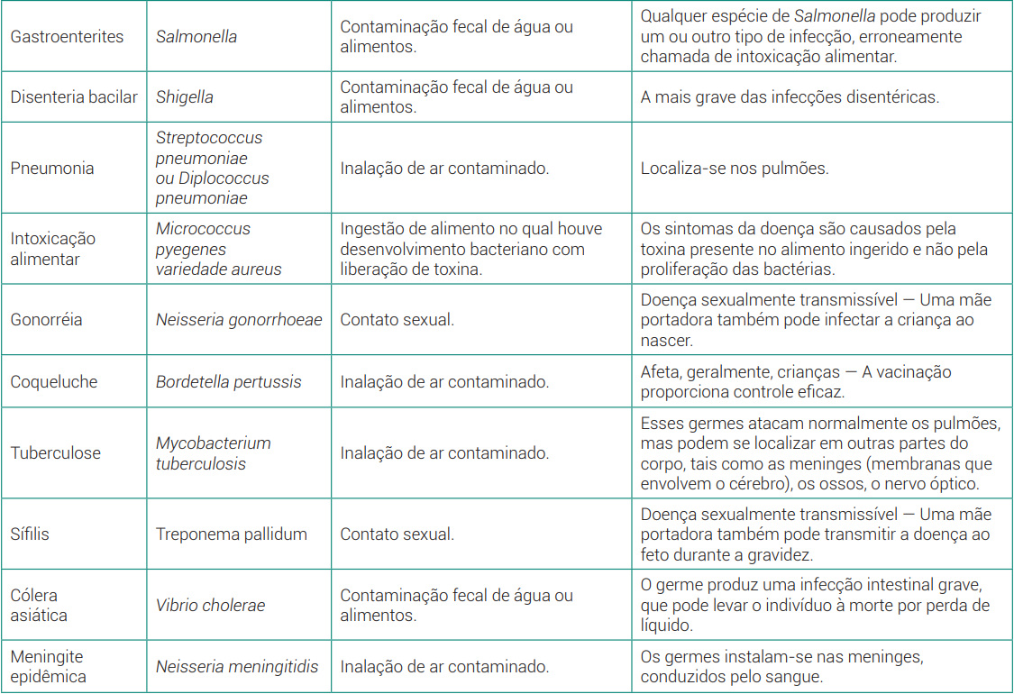 Bactérias: características, tipos, reprodução - Brasil Escola